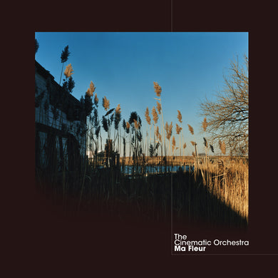 The Cinematic Orchestra | Ma Fleur